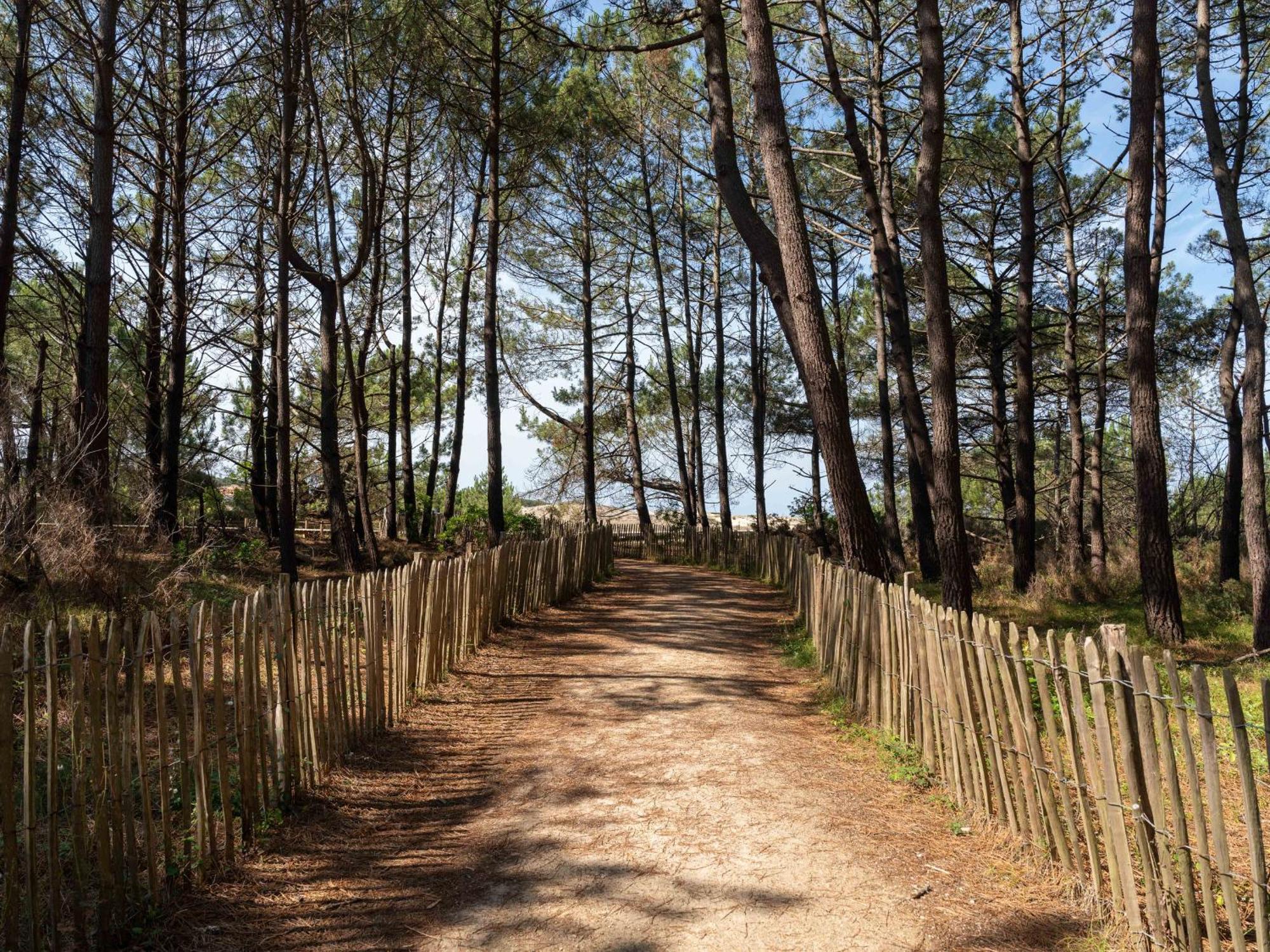Biscarrosse Plage - Studio T1 Bis En Bord De Mer - Menage Inclus - Fr-1-319-185 Biscarrosse-Plage Exterior foto